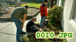Picture 0010