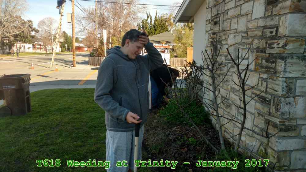 Picture 0002