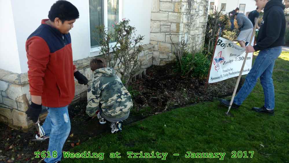 Picture 0004