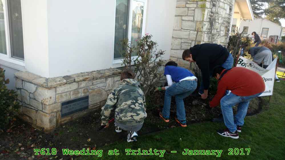 Picture 0005