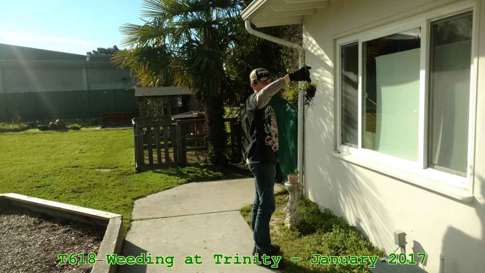 Picture 0007