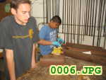 Picture 0006