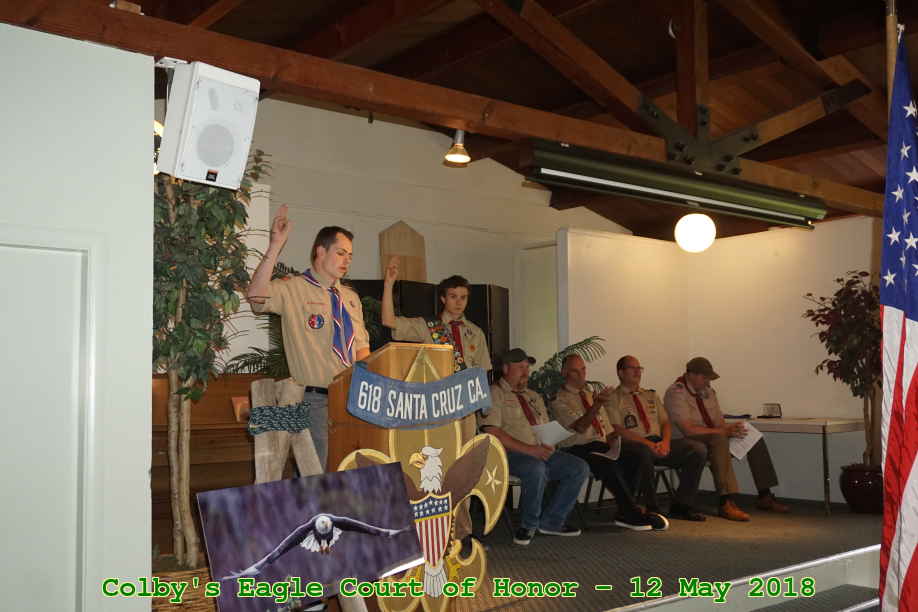 Picture 0020