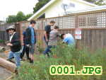 Picture 0001