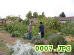 Picture 0007