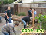 Picture 0009