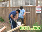Picture 0011