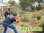 Picture 0015