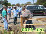 Picture 0019