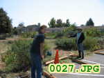 Picture 0027
