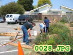 Picture 0028