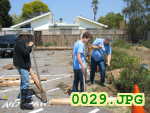 Picture 0029