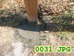 Picture 0031