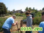 Picture 0035