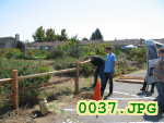 Picture 0037