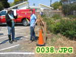 Picture 0038