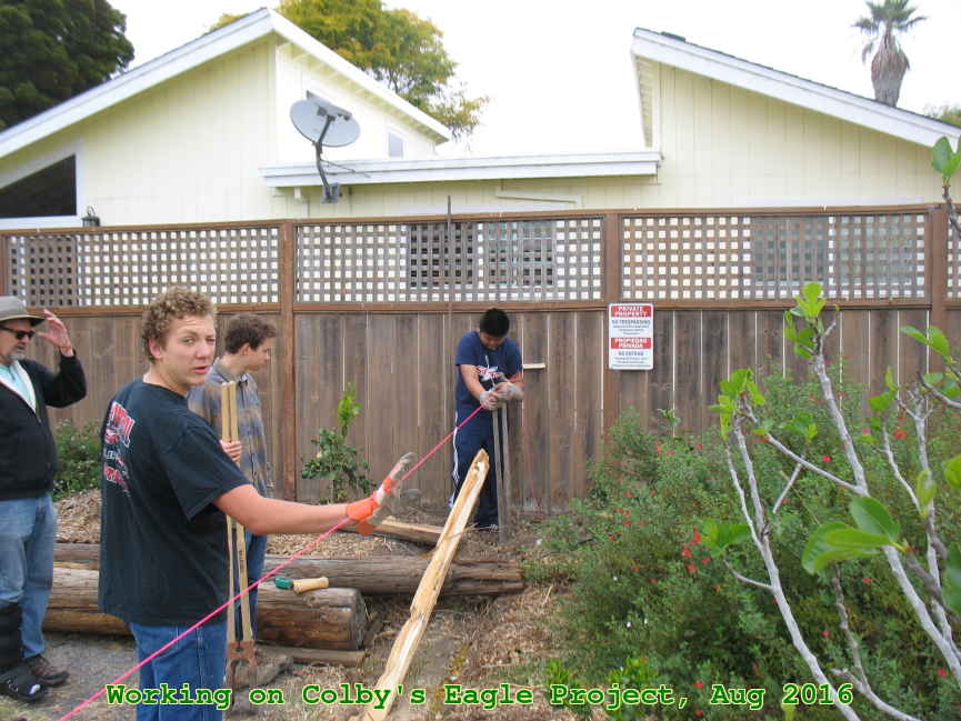 Picture 0004