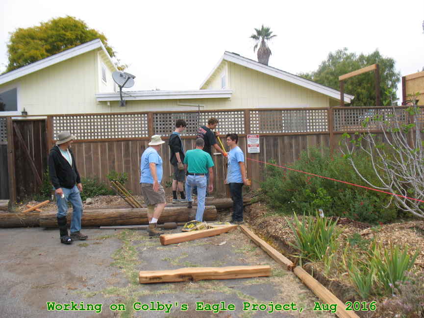 Picture 0006