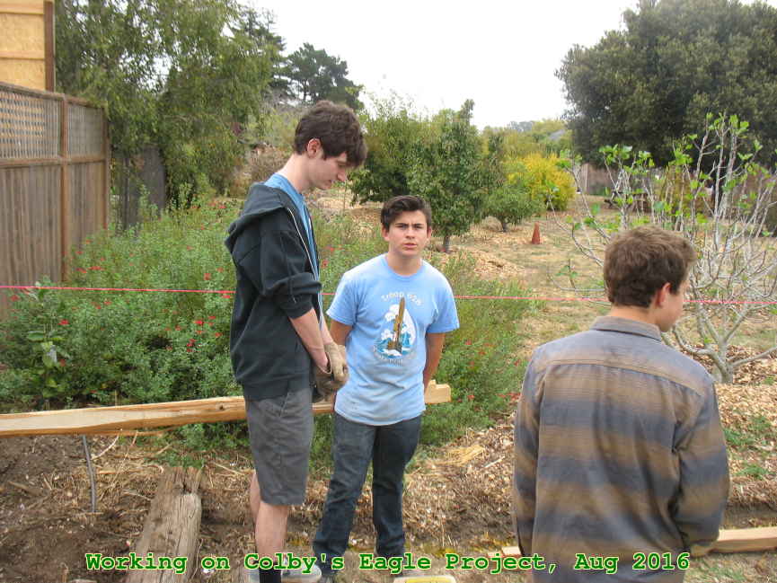 Picture 0008
