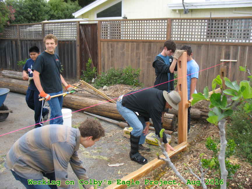 Picture 0009