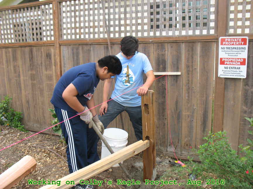 Picture 0011