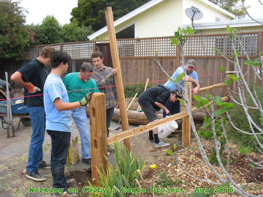 Picture 0014