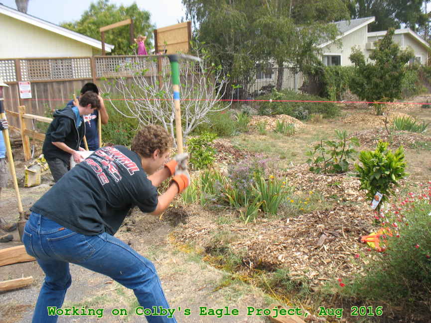 Picture 0015