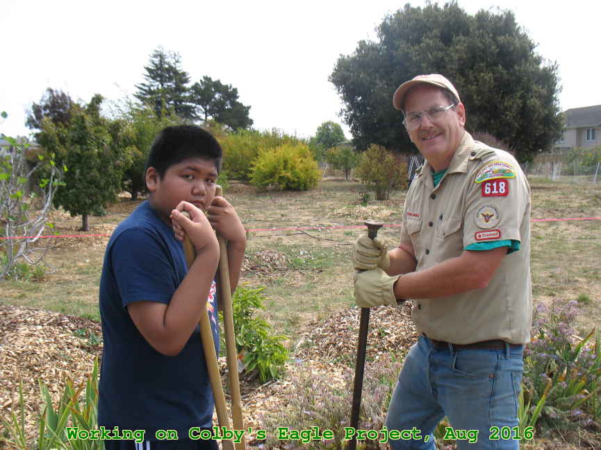 Picture 0017