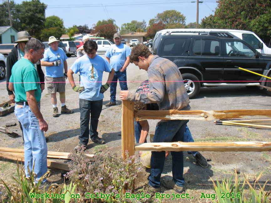 Picture 0019