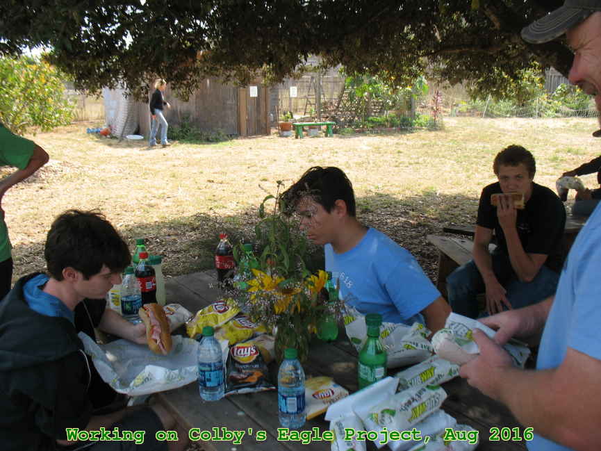 Picture 0020
