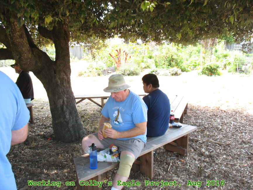 Picture 0021