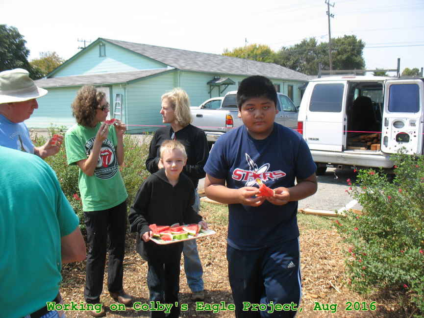 Picture 0022