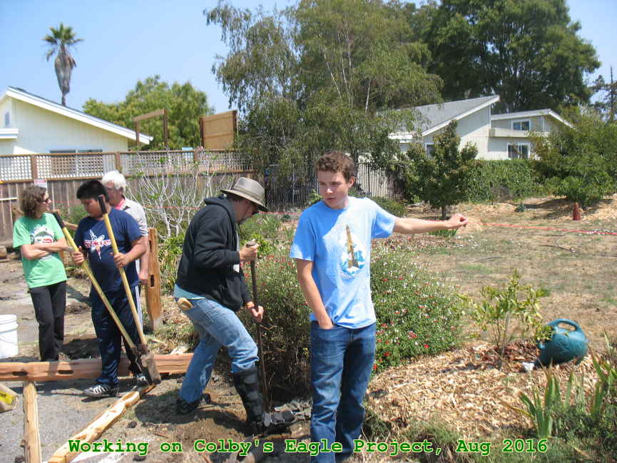Picture 0023