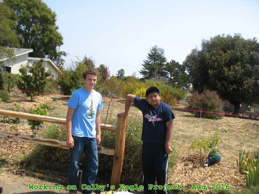 Picture 0026