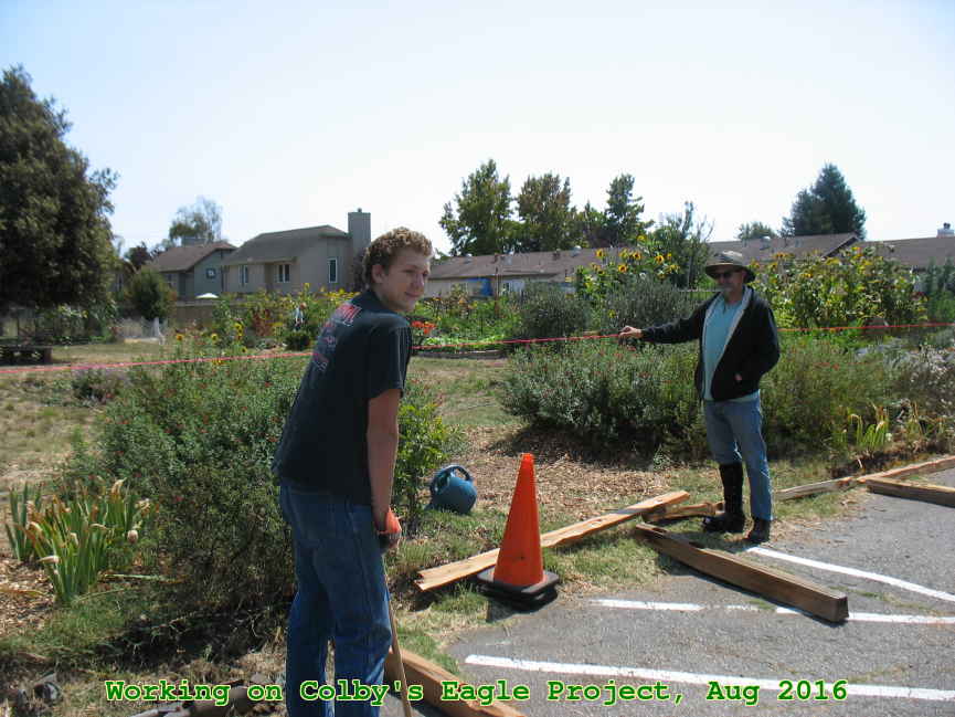 Picture 0027