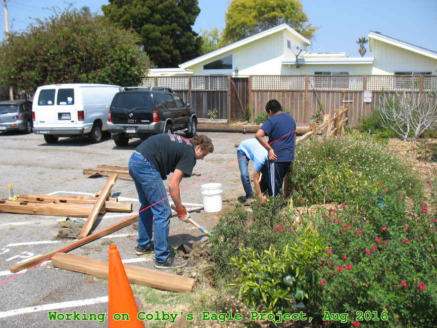 Picture 0028