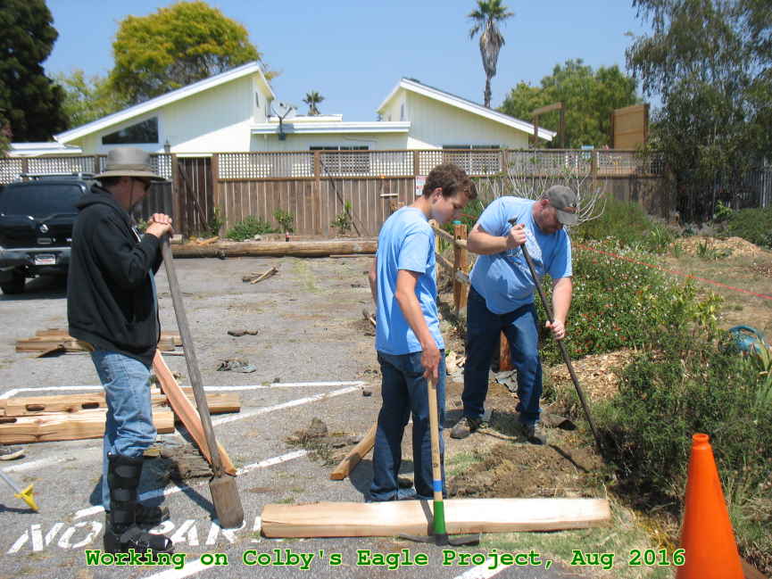 Picture 0029