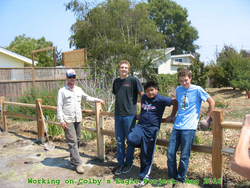 Picture 0030