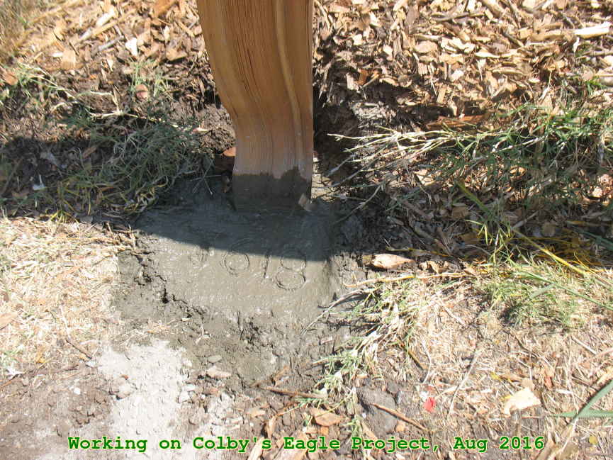 Picture 0031