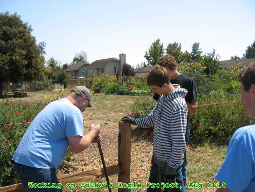 Picture 0035