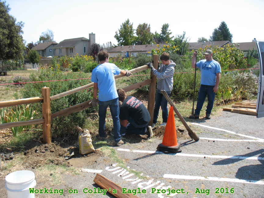 Picture 0036