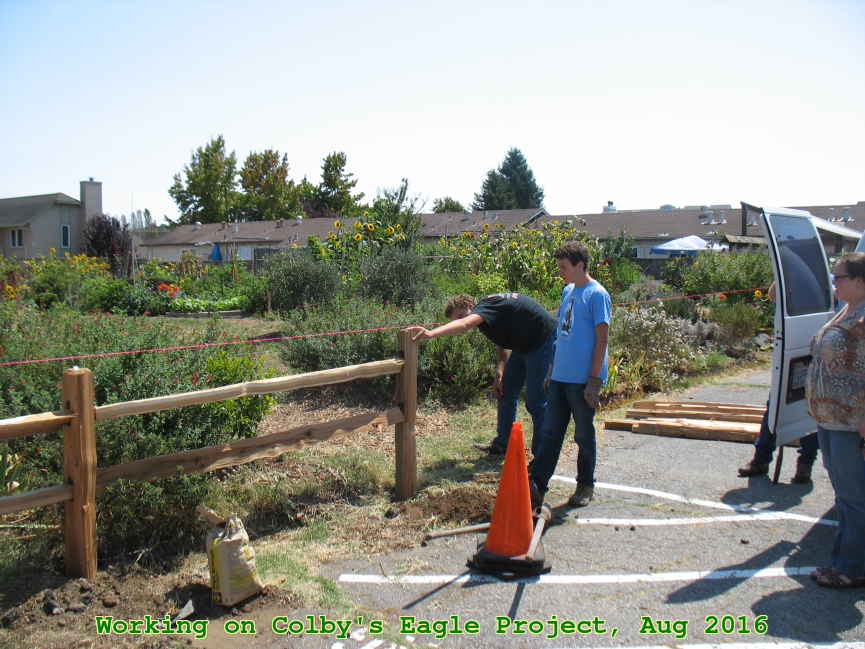 Picture 0037