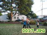 Picture 0017