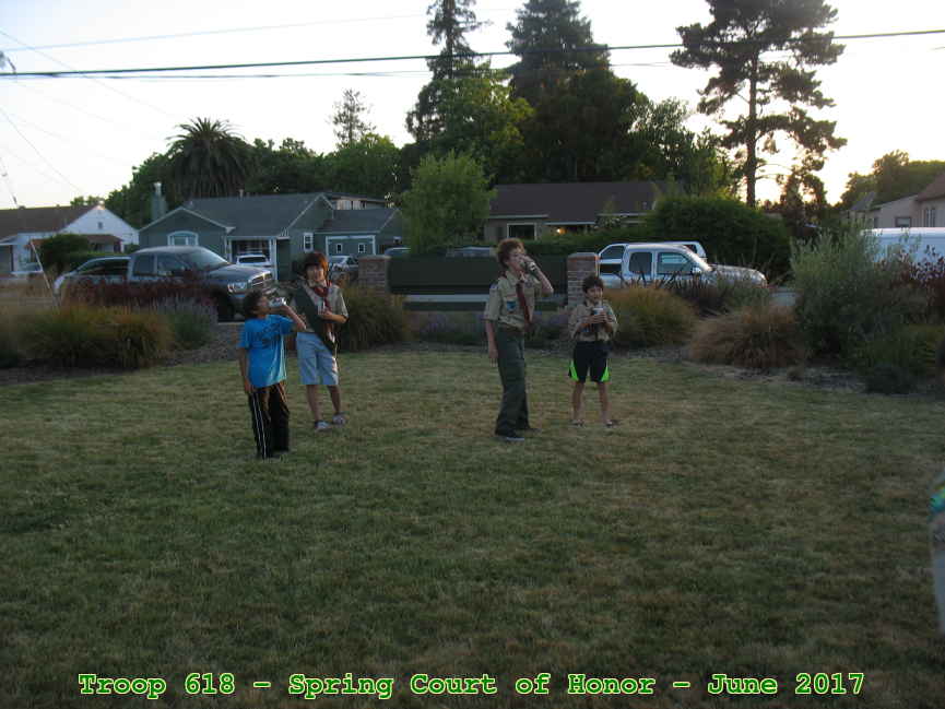 Picture 0015
