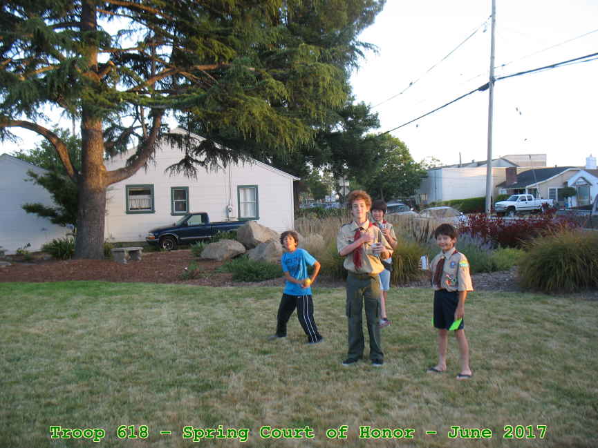 Picture 0016