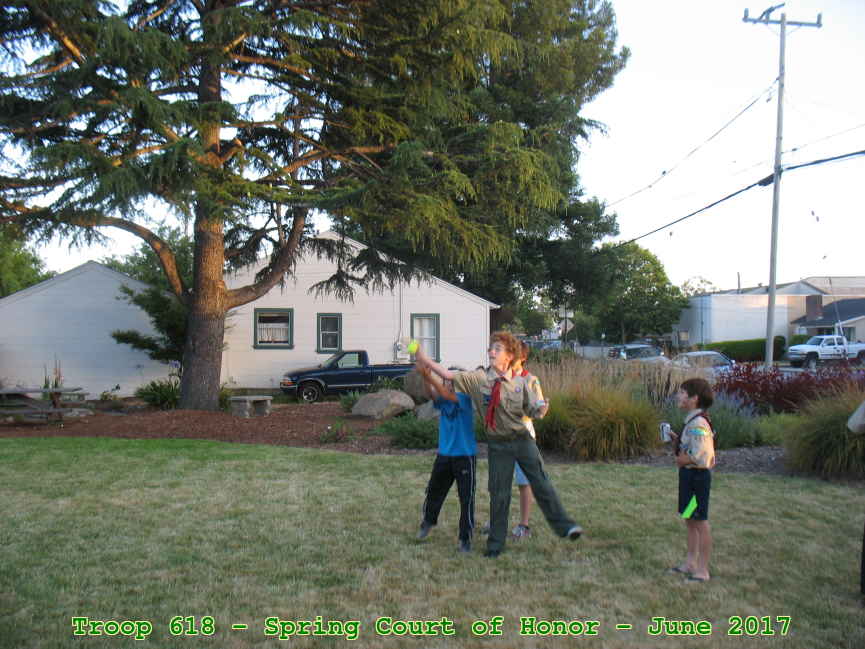 Picture 0017