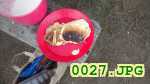 Picture 0027