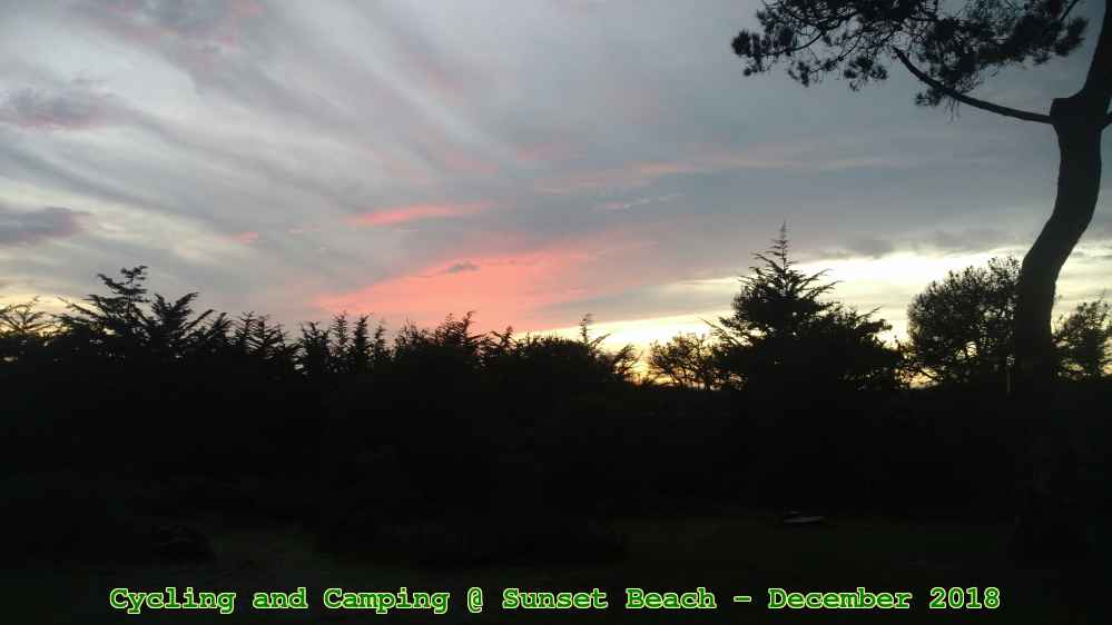 Picture 0017