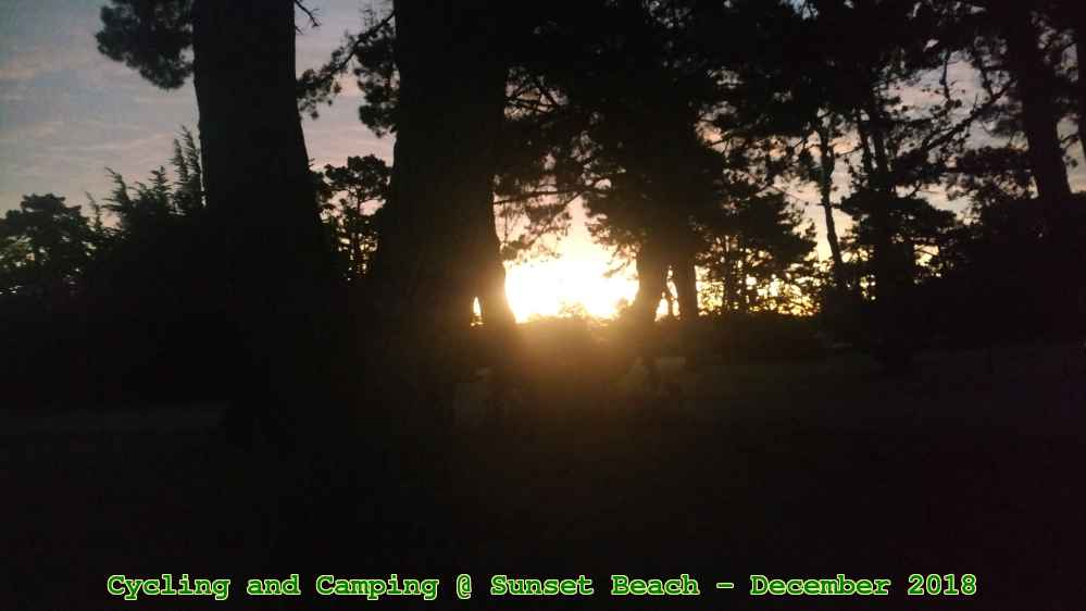 Picture 0020