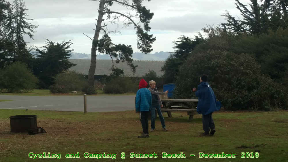 Picture 0029